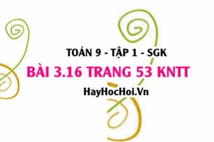 Bài 3.16 trang 53 Toán 9 tập 1 Kết nối tri thức